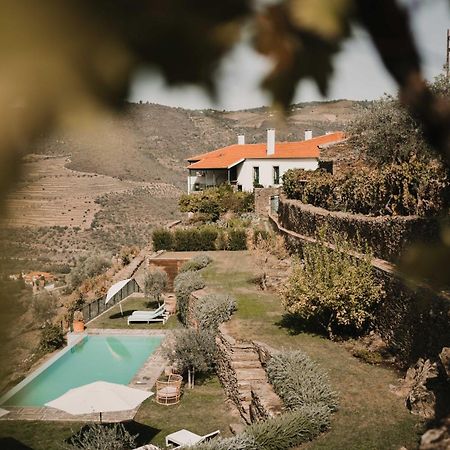 Quinta Da Gricha Otel Ervedosa do Douro Dış mekan fotoğraf
