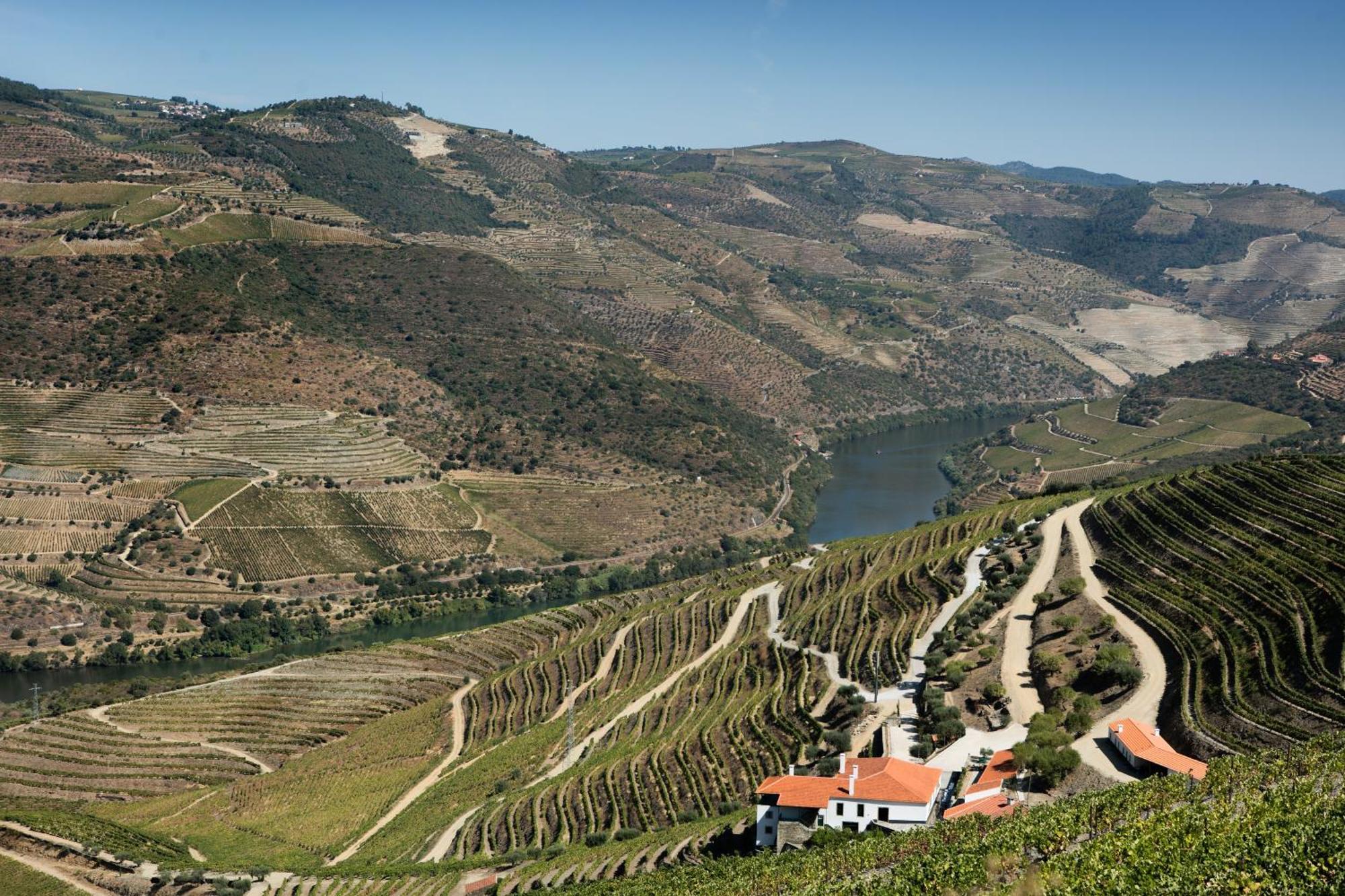 Quinta Da Gricha Otel Ervedosa do Douro Dış mekan fotoğraf