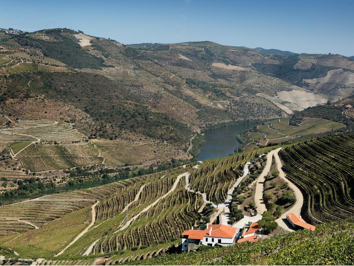 Quinta Da Gricha Otel Ervedosa do Douro Dış mekan fotoğraf