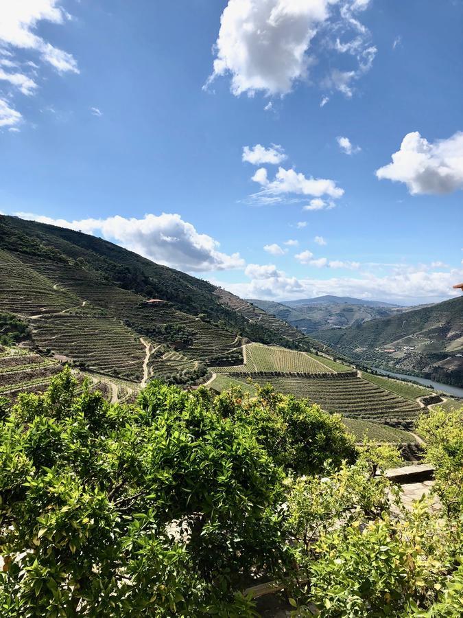 Quinta Da Gricha Otel Ervedosa do Douro Dış mekan fotoğraf