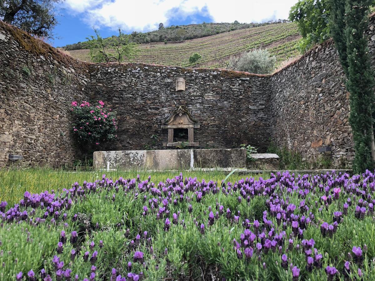Quinta Da Gricha Otel Ervedosa do Douro Dış mekan fotoğraf