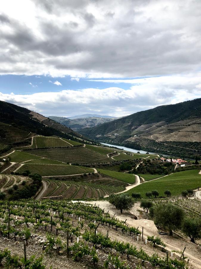 Quinta Da Gricha Otel Ervedosa do Douro Dış mekan fotoğraf