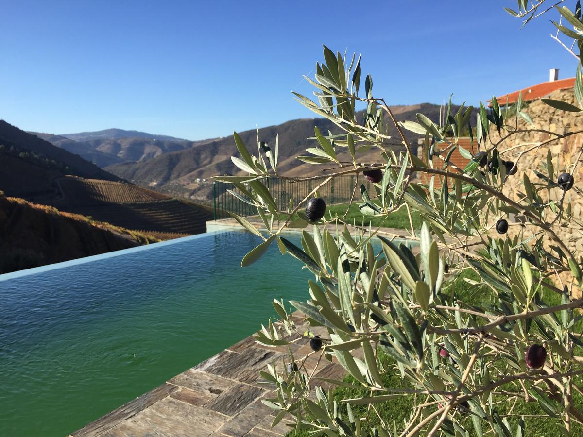 Quinta Da Gricha Otel Ervedosa do Douro Dış mekan fotoğraf